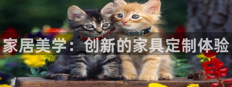球盟会优惠领取网站