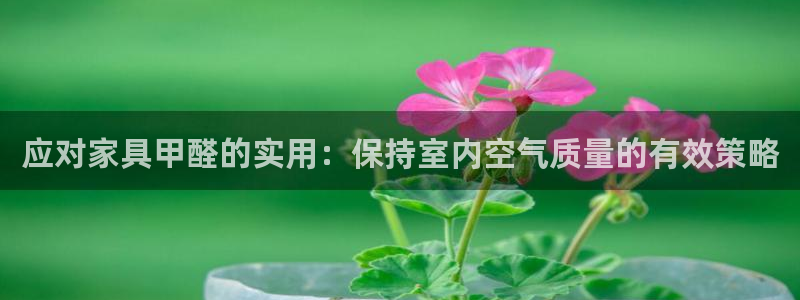 球盟会APP下载