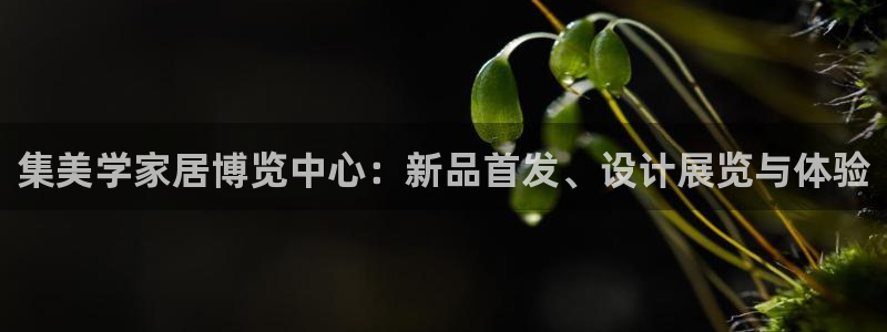 球盟会登录平台入口