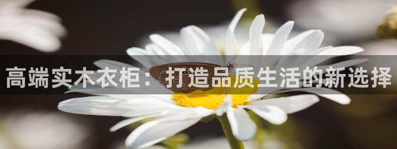 球盟会登录网址