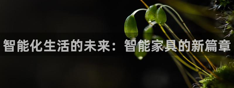 球盟会app手机登录