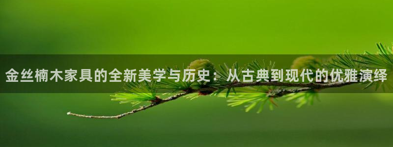 球盟会里面有打牌的嘛是真的吗