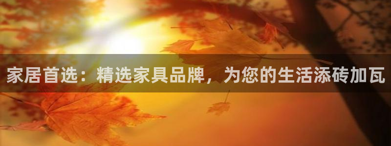 球盟会综合app下载