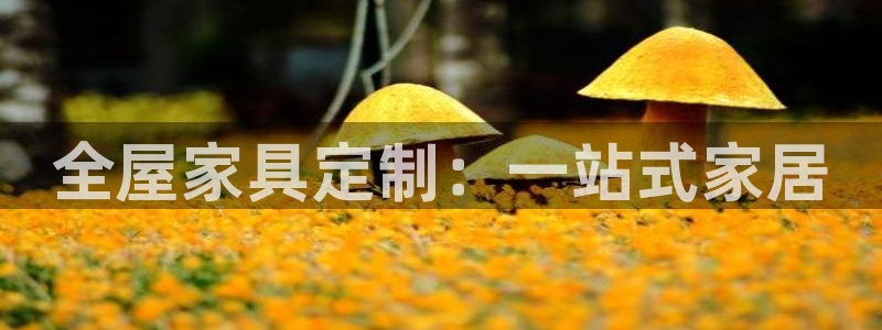 球盟会网页版登陆