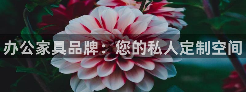 球盟会登陆中心