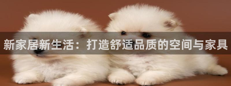 球盟会网址qm9 - 球盟会qmh网页版登录