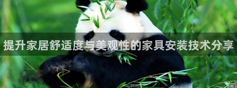 球盟会体验金球奖吗