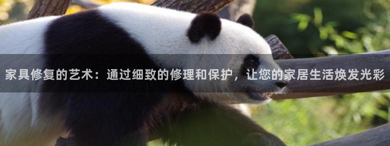 球盟会官方网站app