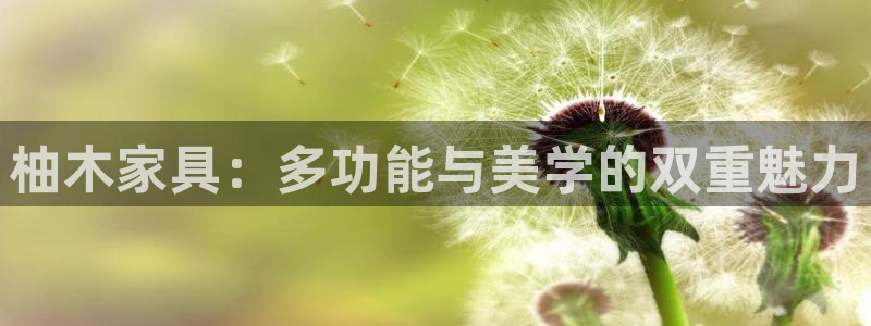 球盟会下款快吗