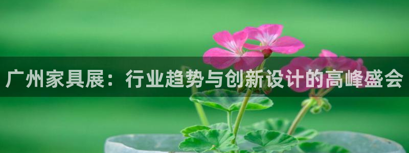 球盟会app手机登录