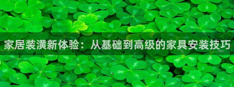 球盟会官方网站app