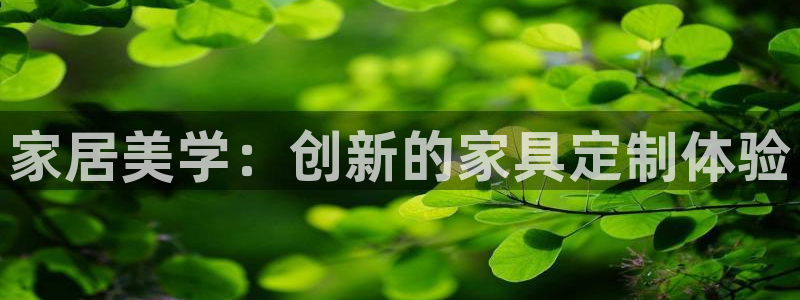 球盟会官方下载