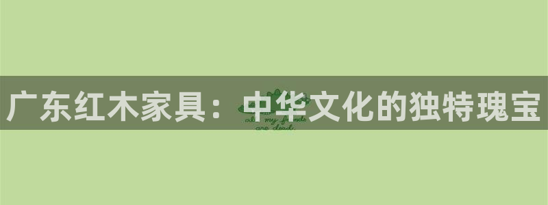 球盟会用的客服聊天是哪个软件