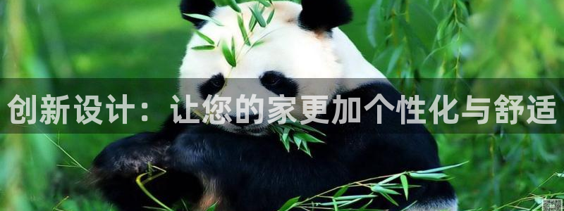 球盟会app网址多少号