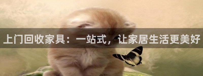 球盟会官方网站入口