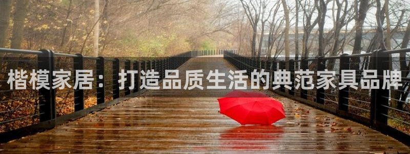 球盟会APP最新地址