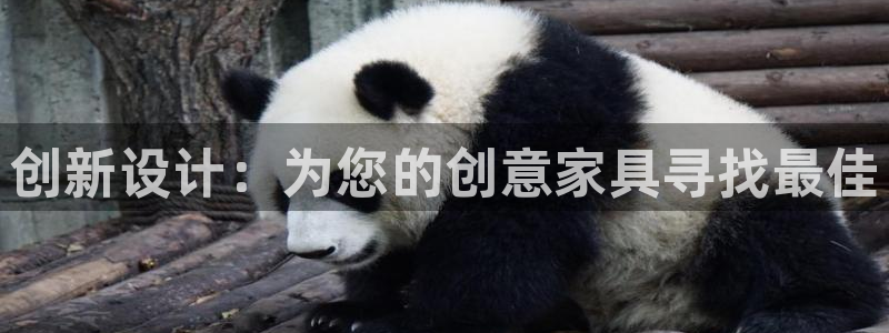 球盟会官方网址入口