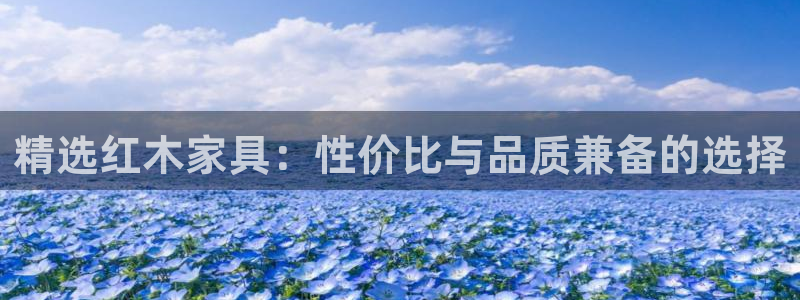 球盟会qmh电子网页版登录