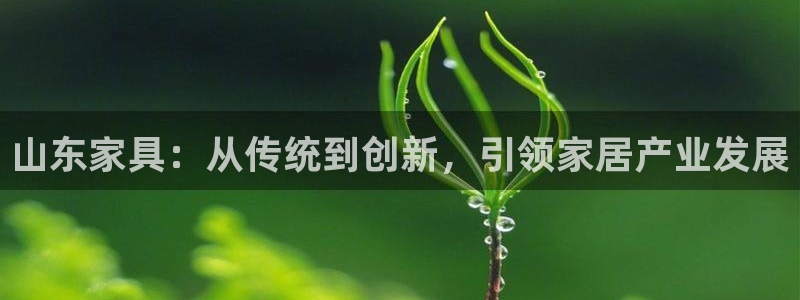 球盟会下载最新版