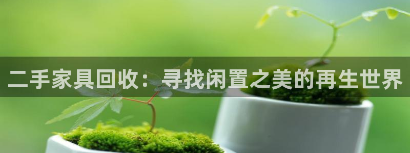 球盟会官方版下载地址