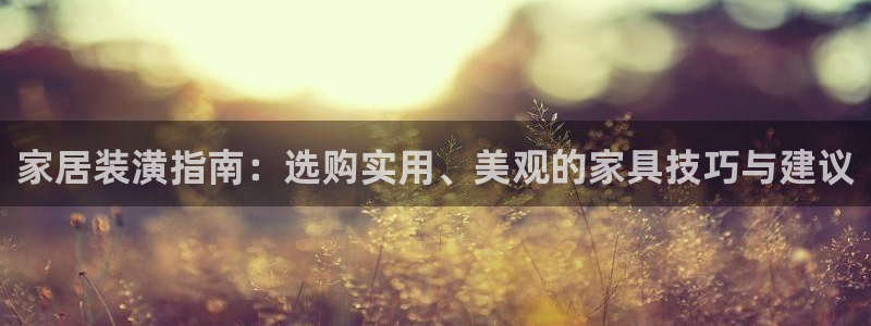 球盟会网页登录入口