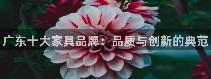 球盟会app网址多少号