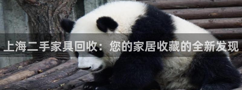 球盟会优惠领取网站