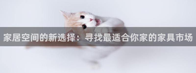 球盟会在线登入