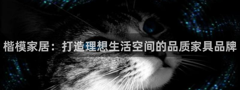 球盟会qmh登录地址