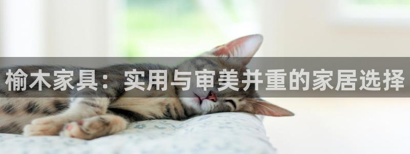 球盟会几点玩合适