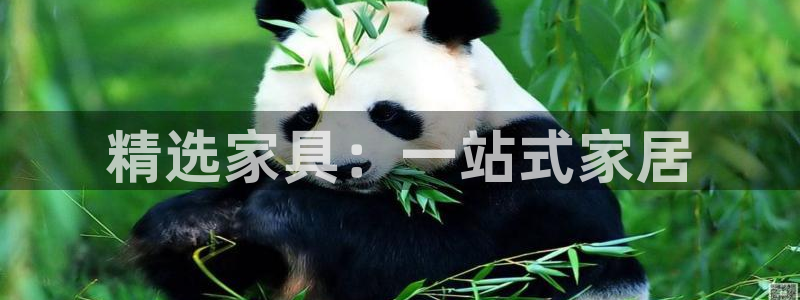 球盟会下款快吗