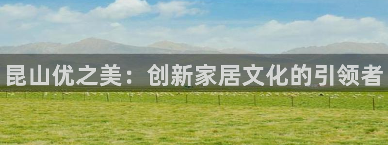 球盟会用的客服聊天是哪个软件