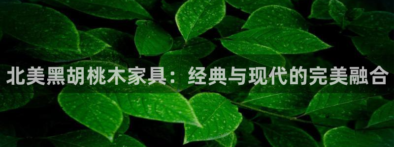 球盟会网址qm9 - 球盟会qmh网页版登录