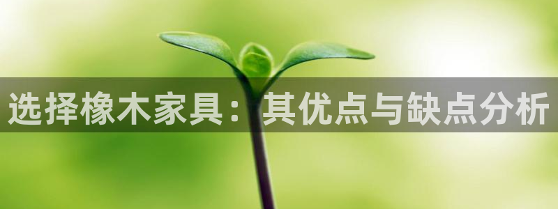 球盟会国际官网