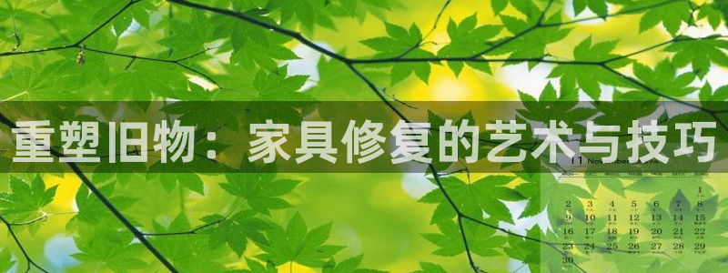 球盟会官方网入口
