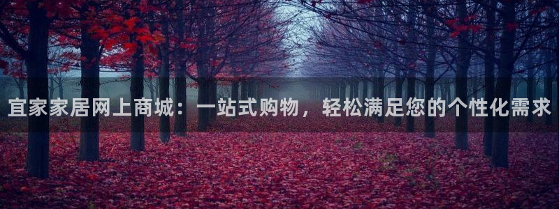 球盟会黑台子吗