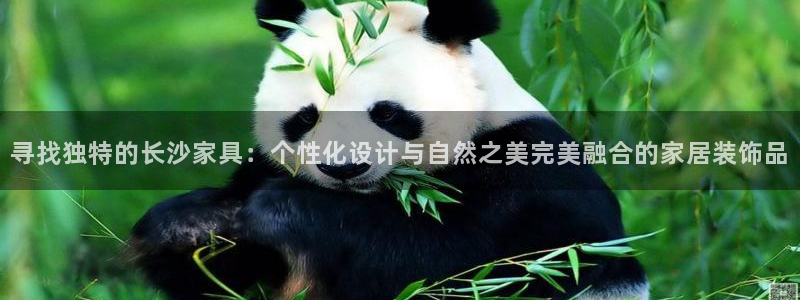 球盟会官方网址入口