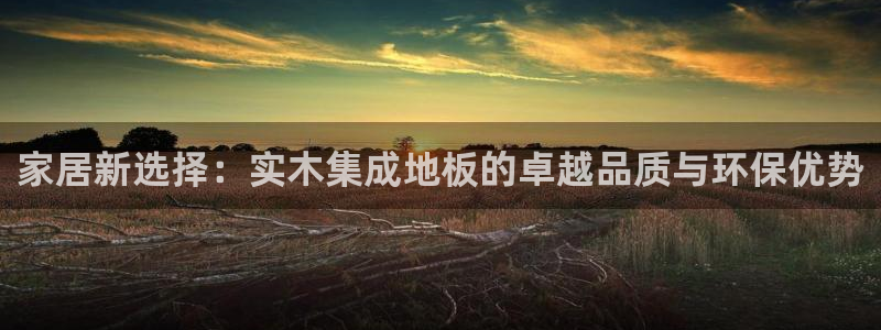 球盟会优惠领取网站是真的吗