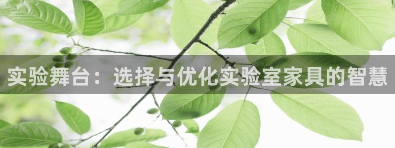 球盟会能退钱吗现在：实验舞台：选择与优化实验室家具的智慧