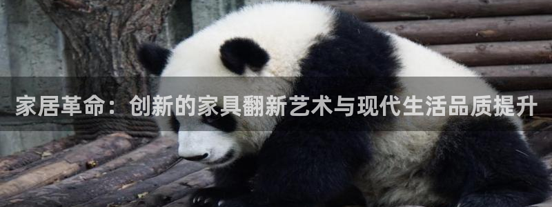 球盟会网址qm9 - 球盟会qmh网页版登录